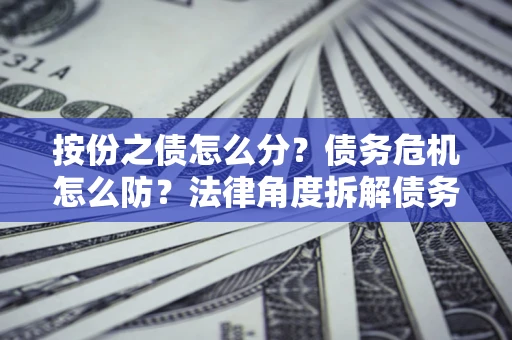 武汉按份之债怎么分？债务危机怎么防？法律角度拆解债务分配与风险自保指南