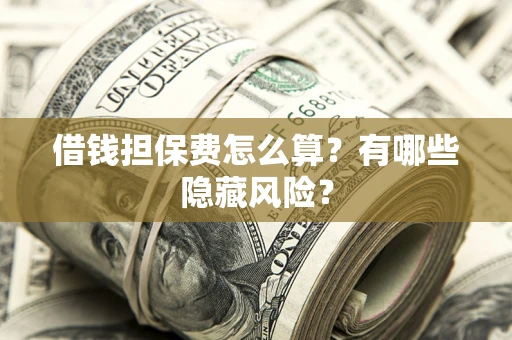 武汉借钱担保费怎么算？有哪些隐藏风险？