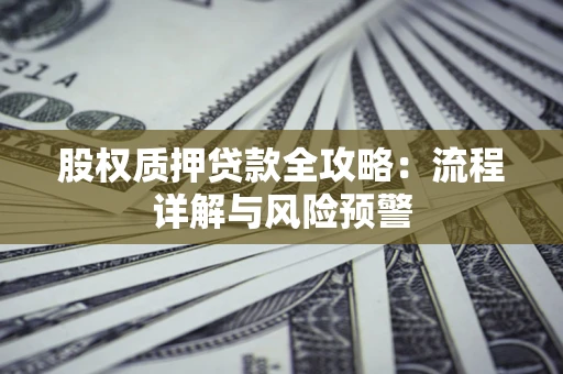 武汉股权质押贷款全攻略：流程详解与风险预警