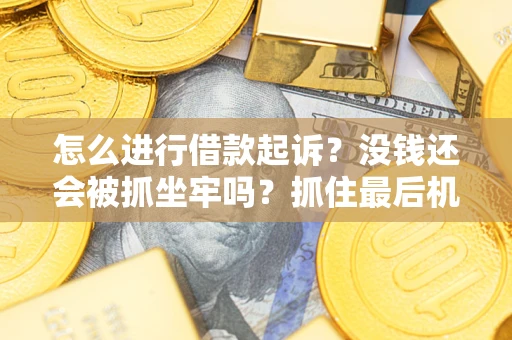 武汉怎么进行借款起诉？没钱还会被抓坐牢吗？抓住最后机会！