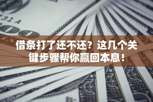 武汉借条打了还不还？这几个关键步骤帮你赢回本息！