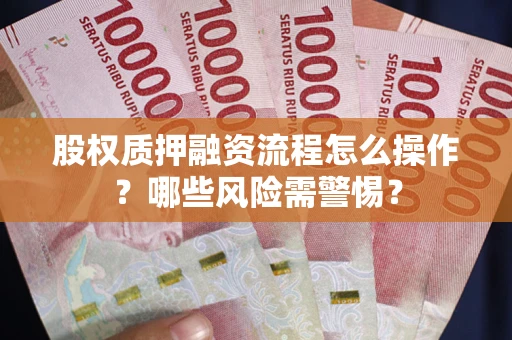 武汉股权质押融资流程怎么操作？哪些风险需警惕？