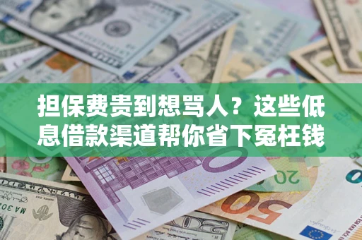 武汉担保费贵到想骂人？这些低息借款渠道帮你省下冤枉钱