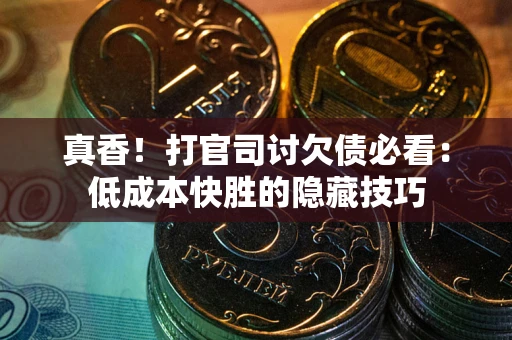 武汉真香！打官司讨欠债必看：低成本快胜的隐藏技巧