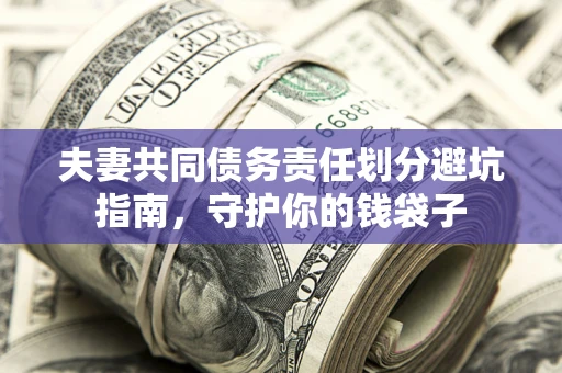 武汉夫妻共同债务责任划分避坑指南，守护你的钱袋子