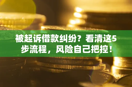 武汉被起诉借款纠纷？看清这5步流程，风险自己把控！