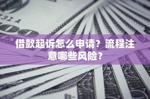 武汉借款起诉怎么申请？流程注意哪些风险？