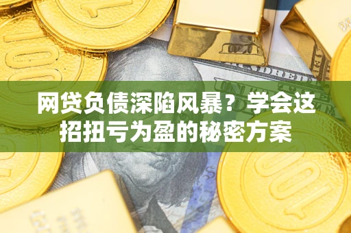 武汉网贷负债深陷风暴？学会这招扭亏为盈的秘密方案