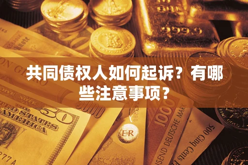 武汉共同债权人如何起诉？有哪些注意事项？